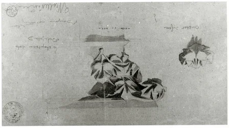 Drawing for the Restoration of Notre Dame