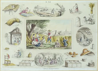 Educational illustration of corn, c.1860-70