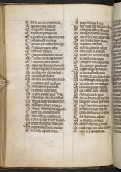 Egerton MS 881 f.65v, Guillaume de Lorris and Jean de Meun, Roman de la Rose