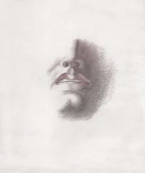 Face of a man