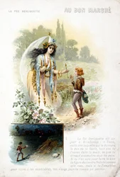 Fairy Berliquette
