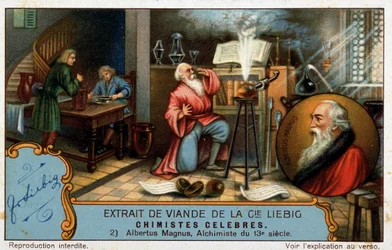 Famous Chemists: Albrecht von Bollstadt Known as Albert the Great or Albertus Magnus (1206 - 1280), Dominican Brother, German Chemist and Alchemist Professor of Thomas Aquinas
