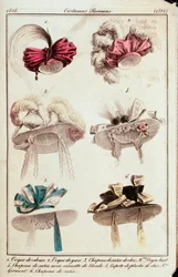 Fashion, France
