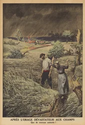 Fields Devastated by a Thunderstorm in France