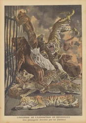 Fire at the Brussels International Exposition of 1910
