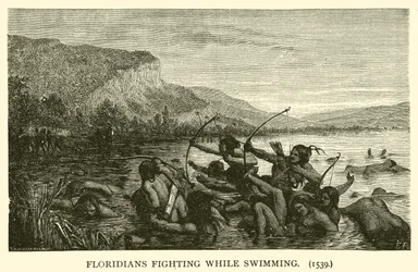 Floridians fighting while swimming