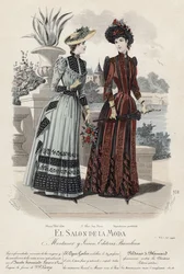 French fashion plate, late 19th century