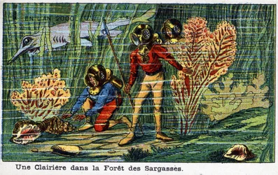 Futuredays: A Nineteenth Century Vision of the Year 2000 Series: A clearing in the Sargasso Forest (under sea). Chromolithography by Villemard