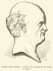 Geoffroy Saint-Hilaire (engraving)