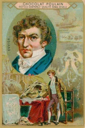 Georges Cuvier