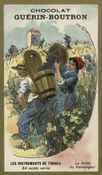 Grape Pickers Basket