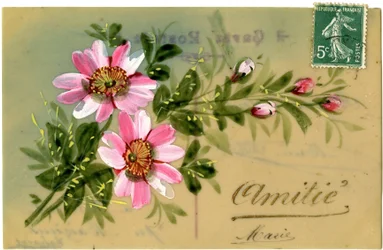 Greetings with Floral Plant. Postcard Beginning of the 20th Century