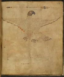Illustration of the constellation 