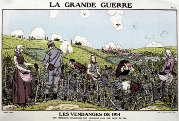 Harvest of 1914