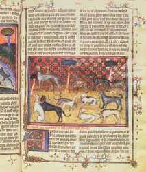 Hunting Dogs by Gaston III, Comte de Foix Phebus le Chasseur (1331-91), from Livre de la Chasse, 1387-89
