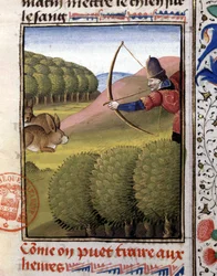 Hunting a bow: hare, from 