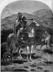 Hunting Hare in Algeria