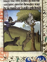 Hunting Scene with a Lynx - in 