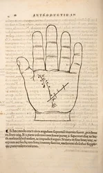 Illustration from Chiromantia by Joannes Indagioe, Strasbourg, 1531