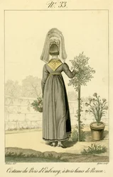 Illustration no. 33, Costume of Bois d