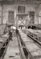 Interior of a 19th century fish farm in Huningue, France, from Les Merveilles de la Science, published c.1870