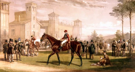 Jockey on His Horse on Paddock at Longchamps Racecourse