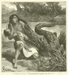 The Indian Woman and the Caiman