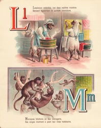 Lamb, laundry, monkeys, menagerie