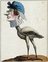 The Stork in Caricature, study of character 