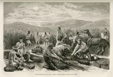 Fishing for leeches. Drawing by Sahib, to illustrate the story of Henri Belle: Voyage en Greece