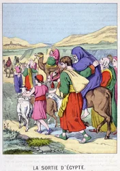 The Exodus - in 