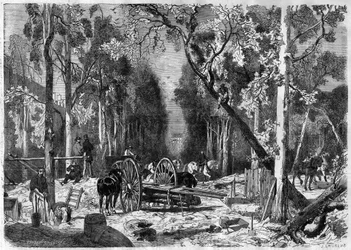 Le bucheron au jardin de Luxembourg in Paris in 1870 - Engraving from 1870