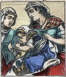 Lemuel Gulliver at the Payx des Gants de Brobdingnag. Illustration for "Gulliver