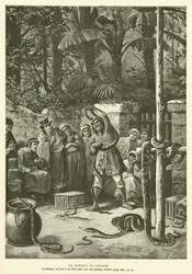 The Serpents in Paraguay (engraving)