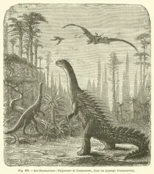 The Dinosaurs, Stegosaurus and Compsognathus, in a Landscape of Araucarias