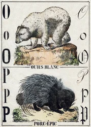 Letter O Bear; P Porc-Epic (Pig Epic)