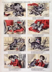 Little cats - Epinal imaging
