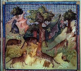 Lynx wild cats in the mountains. Miniature from “The book of hunting” by Gaston III Phoebus, Count of Foix, Lord of Bearn