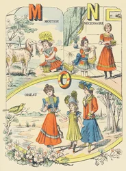 Sheep, Necessiary, Bird
