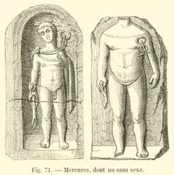 Mercuries, including one without sex