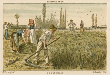 Mowing
