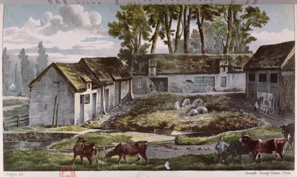 Mr Vandercolmes Farm at Armbouts-Cappel before the Improvement of the Manure Pit