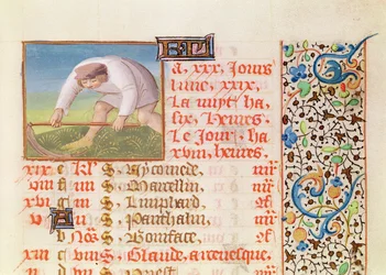 June: Reaping, from a Book of Hours