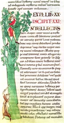 Historiated initial I depicting a monk and a lay chopping and pruning a tree, from Moralia in Job by Pope Gregory the Great