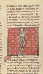 Anatomical figure, from La Chirurgie de Maitre Henri de Mondeville