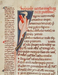 A bird holding a book by Gilles de Corbeil from 