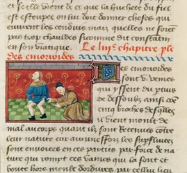 Examination of a patient with hemorrhoids, from Le Livre des Proprietes des choses by Barthelemy l