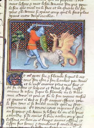 Yvain, the Knight with the Lion, fighting a dragon, miniature from Roman de Lancelot