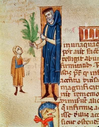 Medicinal Plants, illustration from Traite de Medecine by Claudius Galenus translated by Gerard de Cremone