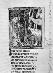 Noble holding court, illustration from the Roman de Renart